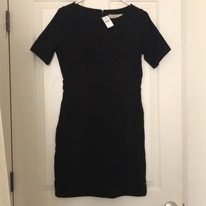 Loft Petite Pocket Sheath Dress
